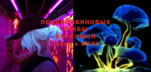 хмурый Алексеевка