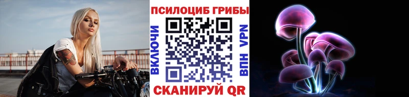 Псилоцибиновые грибы Cubensis  Конаково 